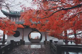 郭进拴｜平湖秋月图片