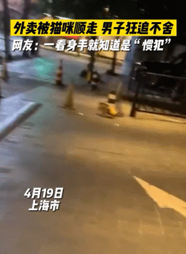 买到一盒肯德基猫爪蛋挞,我当场气死