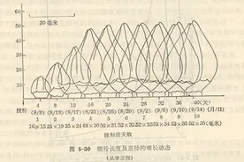 380~650，咋样让1亩棉花达到10万朵是关键，咱们可以用杆子来弄图片