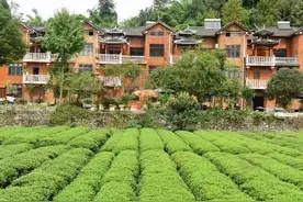 农村宅基地有4种情况，不能确权登记，没有确权的农户要尽快解决图片