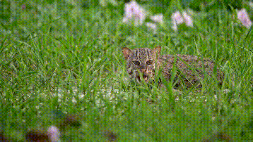 暑期强烈推荐！5部高分纪录片，知识点满满，一定要带孩子看