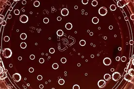 每天喝可乐，你知道碳酸饮料背后的气泡科学吗？图片