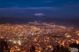 想帮野生动植物吗？请关灯图片