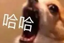 表情包：无情嘲笑图片