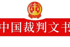 个人借款保证保险合同纠纷（平安普惠标准模式）图片