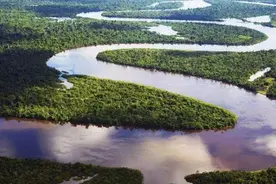 亚马逊河有多可怕，为何没有一座桥梁敢跨越它？还无人敢下水？图片