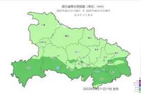 湖北6月12日开始正式进入梅雨期图片