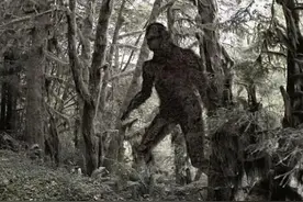 黑竹谷之谜图片