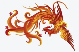 真有凤凰这种鸟？探究凤凰起源和演变历史图片