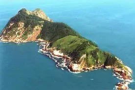 大连蛇岛20000多条蛇，1年休眠2次，为何却越来越凶猛？图片