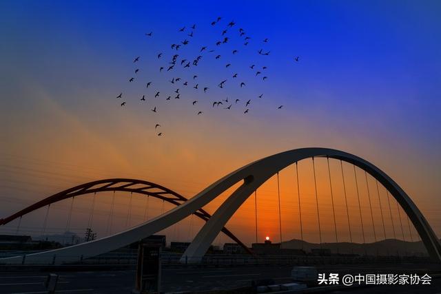2022ζˮ硪ȫӰչ