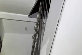 小心！常州多地蛇出没，记住四招防蛇咬图片