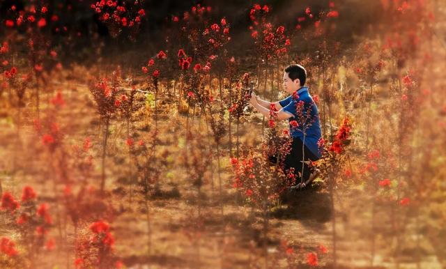 ���߽��ϸ� �������á���ȫ����Ӱ��չ�ɷ���Ӱ