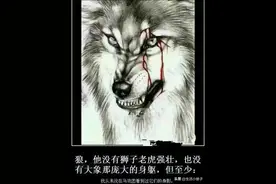 你真的了解狼这种生物吗？图片