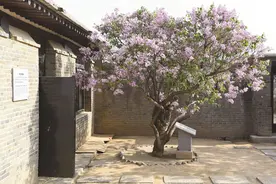 李大钊故居：又到丁香花开时图片