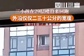光看着腿就软！湖南怀化一小区仨小孩在29层楼窗外来回跑图片