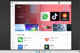 拒绝千篇一律 | win11软件商店Microsoft Store打不开之终极解决方案图片
