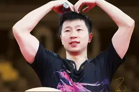 国乒底板大揭秘，蝴蝶vis或成最大赢家图片