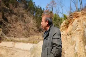 2015年，男子辞职回深山造万米围栏“圈山养羊”，如今是赚是赔图片