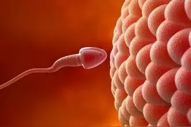 国外常见的避孕方式有哪些？那些常见的避孕误区，你中招了吗？图片