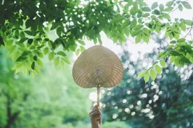 这几种常见食物隔夜后，癌患需要警惕食用！图片