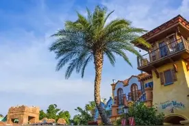 分析命苦：命苦之人的15个特征，你身上有这些特征吗图片