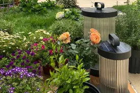 带院子的一楼能不能买？入住6年，说说我的真实感受图片