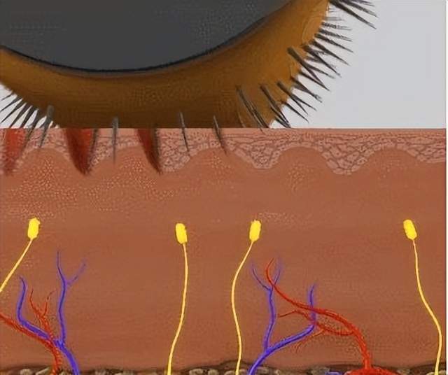 四川省民生研究会新媒体中心-官网