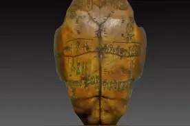 汉字背后的故事：耳字的演变图片