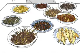 我国这8个省份的人都在吃虫子！快来看看，你能咽下几种虫子？图片