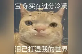 动态搞笑表情包 | 我最喜欢孙猴子那个表情包了图片