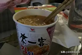 半夜吃泡面，耳尖狗子眼神炙热：别想吃独食，分我一口图片