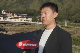 连州羊肚菌长势喜人迎丰收图片