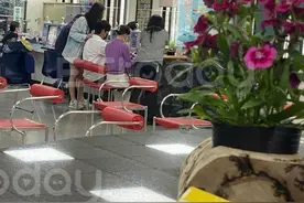 陈乔恩艾伦登记结婚，被爆奉子成婚，去年12月份已经产子图片