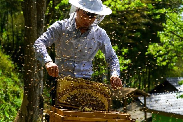 给予高校毕业生补贴,加大职称评价倾斜力度……浙江出台意见,支持这些地方高质量就业创业