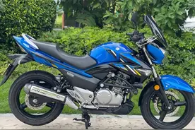 功率18kw，经典的跨骑街车，豪爵铃木骊驰GW250F图片