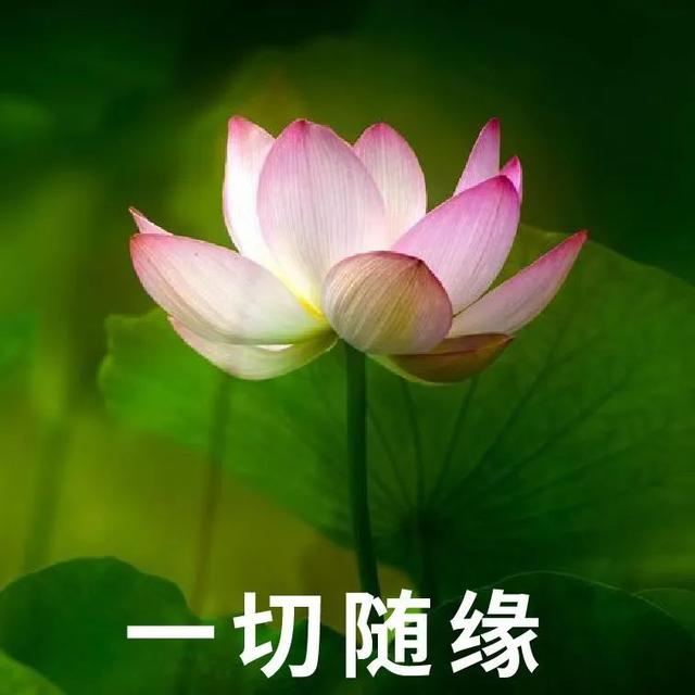 �İ� | ����Ȧ�����İ�