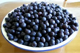 5种水果特别适合“泡酒”，口味营养各不同，醇馥幽郁，回味悠长图片