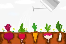 河北事业单位选聘的萝卜坑究竟招惹了谁？网友：没必要图片