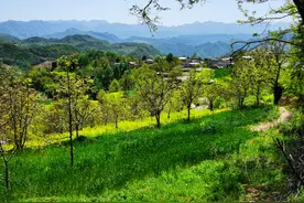 千年古国、世外桃源：探访仇池山空中村落，却依然有那么多的遗憾图片