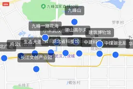 轻叩屏幕，360°全景VR看高新大道这十年巨变图片