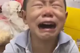 宠物“大闸蟹”被爸爸煮熟，两萌娃边哭边吃，网友：不尊重孩子图片