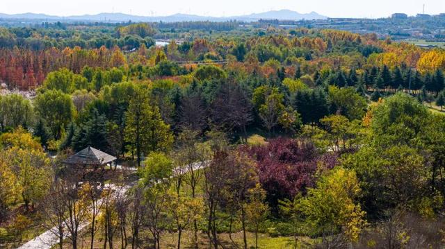 最新实拍！烟台鱼鸟河“顶级秋色”加载中