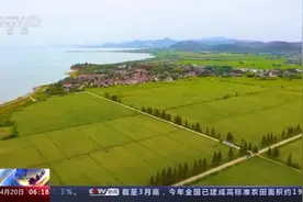 全国累计超10亿亩的高标准农田，“高”在哪儿？图片