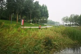 女人期望你主动约她，会这样暗示你图片