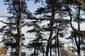 你重要吗？改一次微信名字就知道了图片