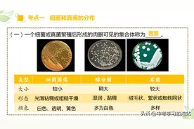 八年级上册生物知识点图文梳理，课后复习紧抓它，才能抓住考点！图片