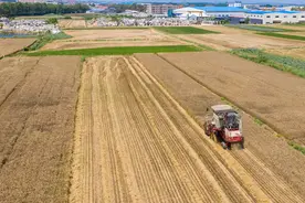 山东省平度市拟征土地用于城镇道路建设，每公顷补偿105万元！图片