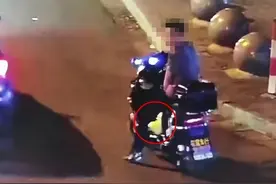 宠物鸭被捡走，再见时已成盘中餐……男子烹食他人柯尔鸭赔付8000元图片