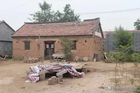 纪实：她含辛茹苦把儿子养大，儿媳的一句话，竟让她走向了不归路图片